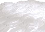 613pnx5WRBL._AC_SL1500_.jpg